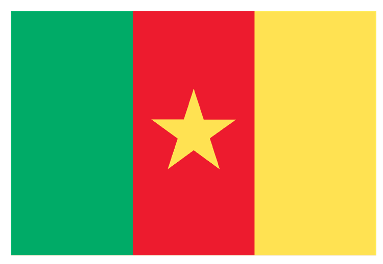Flag of Cameroon