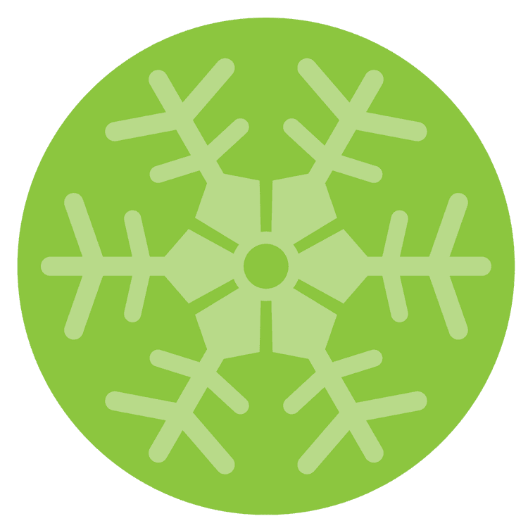 6-Point Snowflake