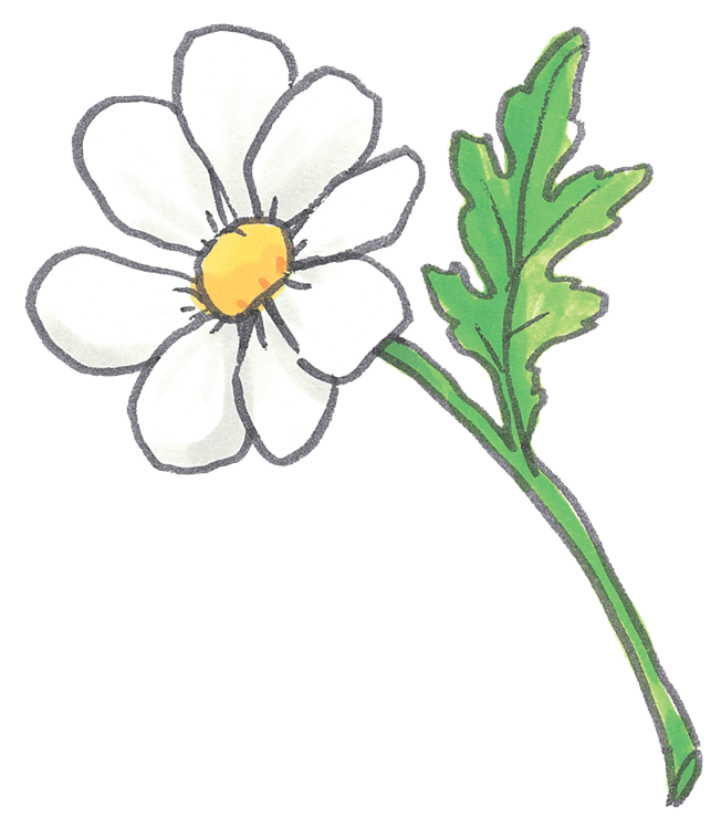 Suzy's Daisy Flower