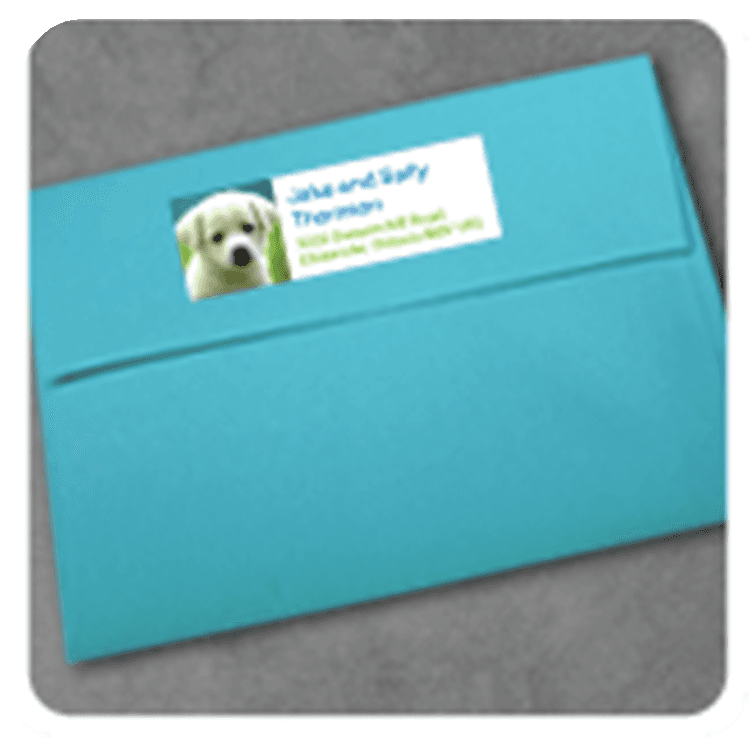 AddressLabels_image4