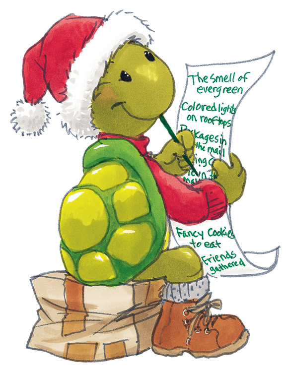 Christmas Turtle