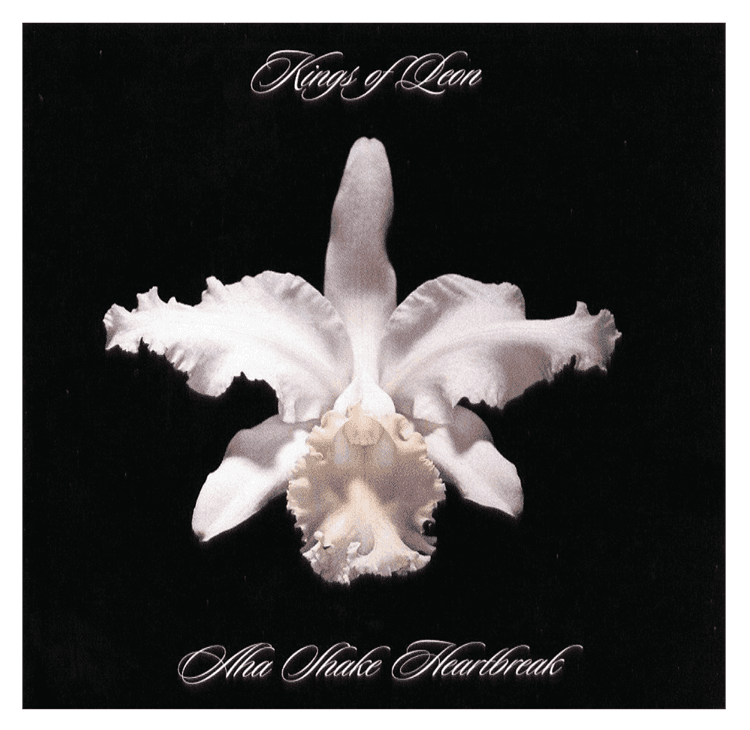 Aha Shake Heartbreak