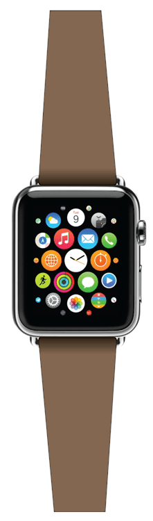 Apple Watch 1