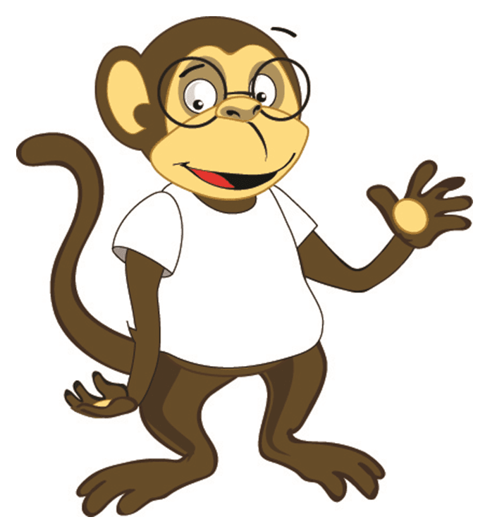 monkey2.jpg