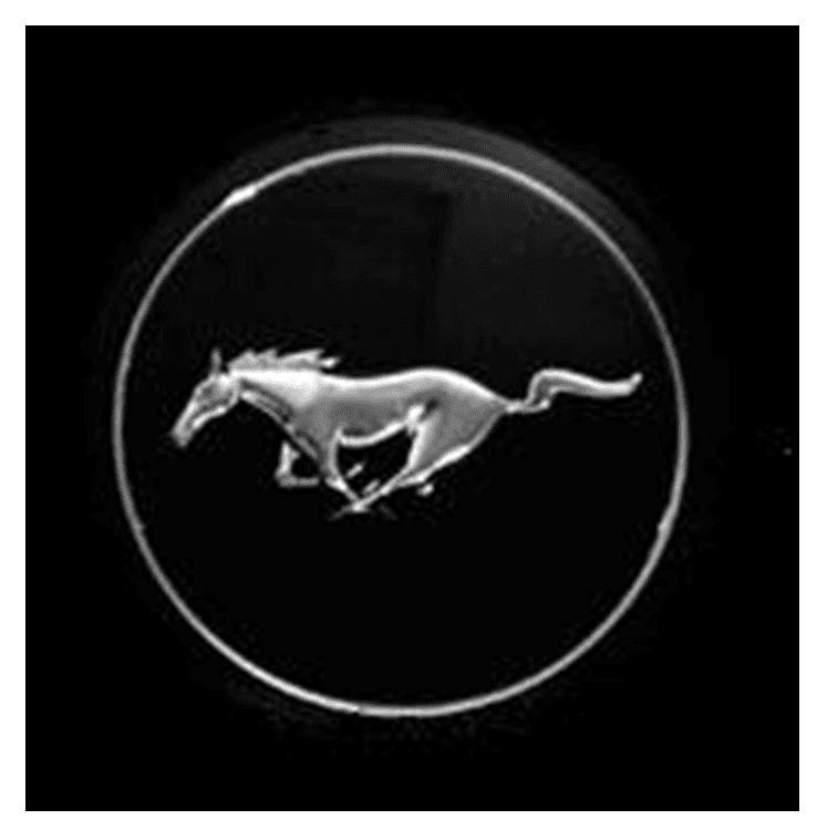 Mustang Horse Logo Circle