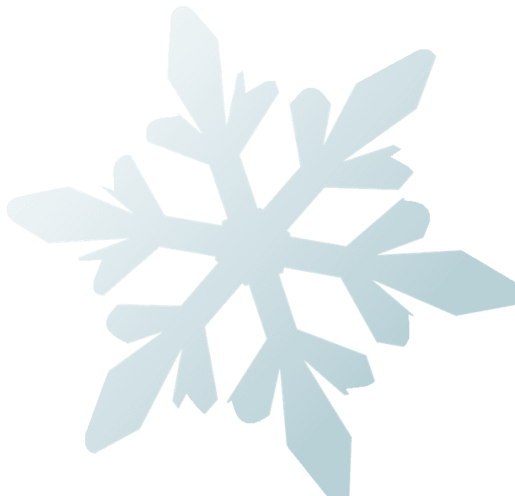 Snowflake Graphic