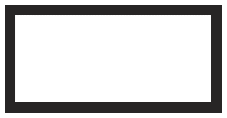 Rectangle Border Thick