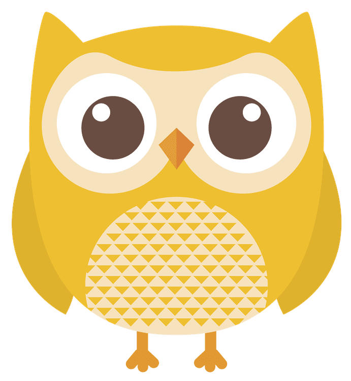 Cute Owl