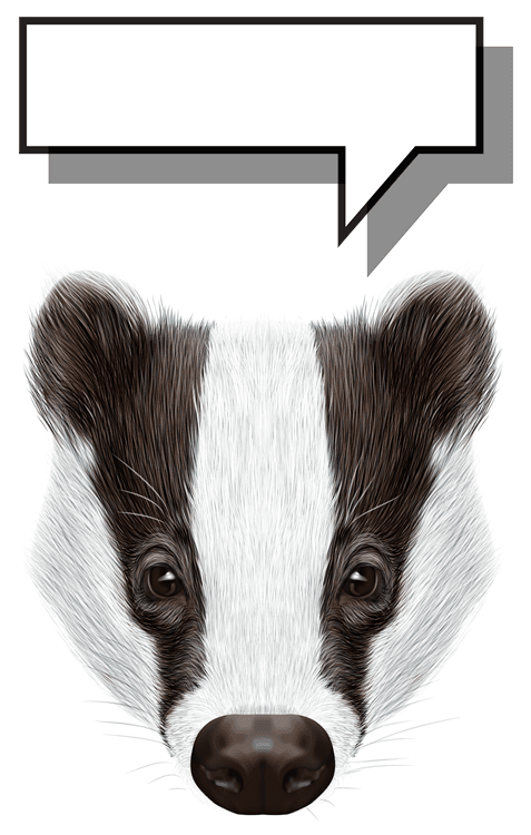 Badger