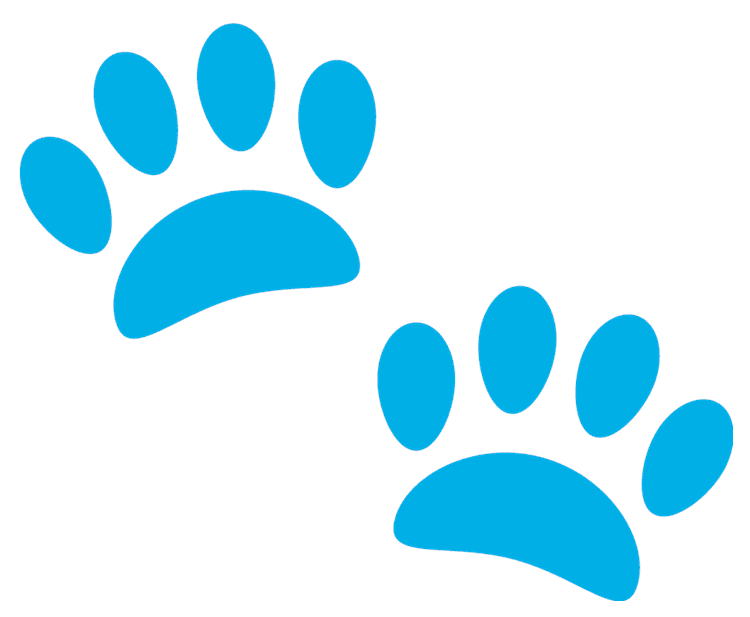 Paws