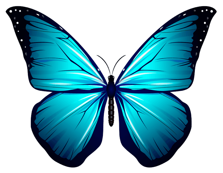 Blue Butterfly