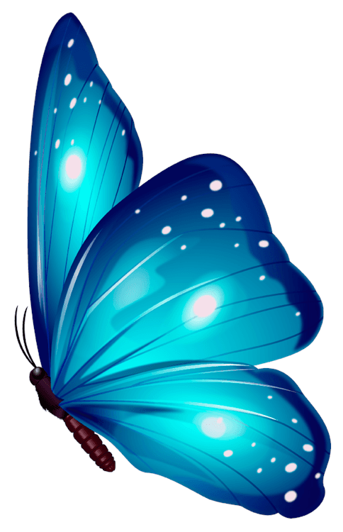 Blue Glow Butterfly