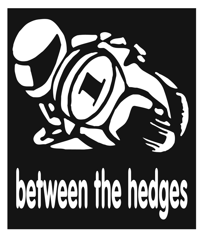 BETWEEN THE HEDGES.jpg