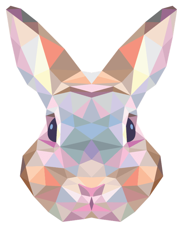 Geometic Bunny