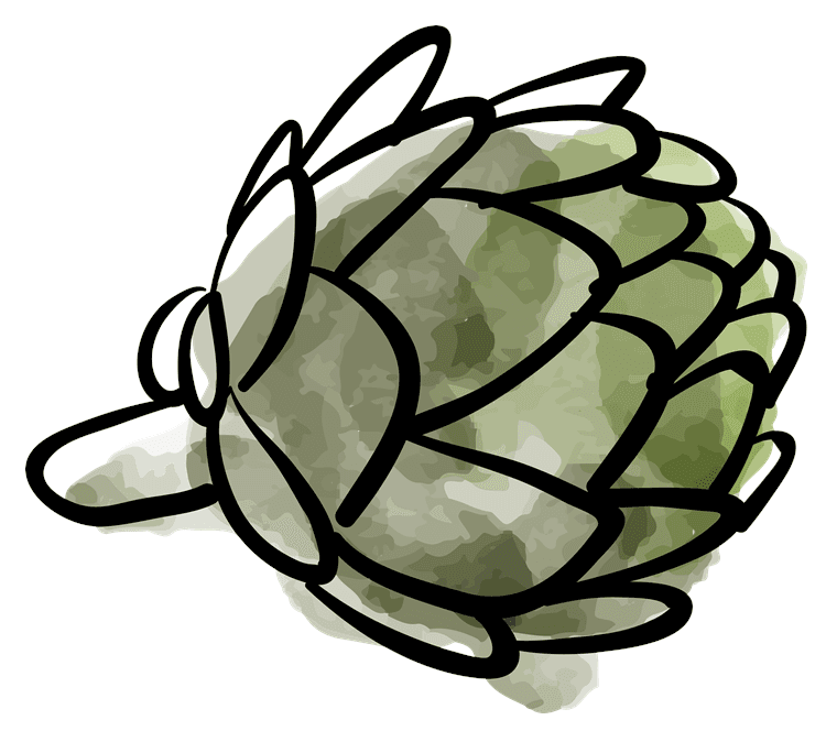 Artichoke