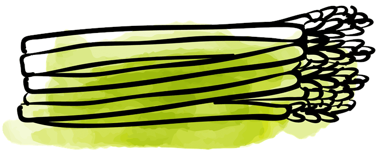 Asparagus