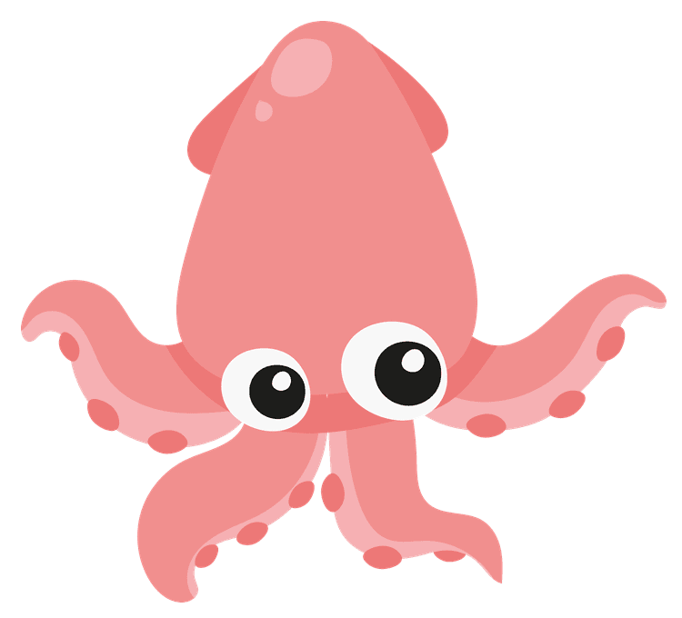 Octopus 3