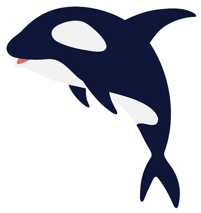 Orca