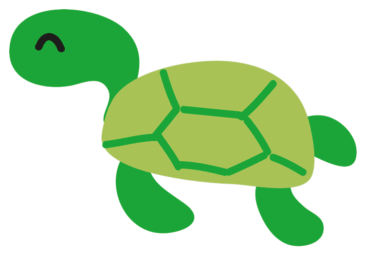 Turtle