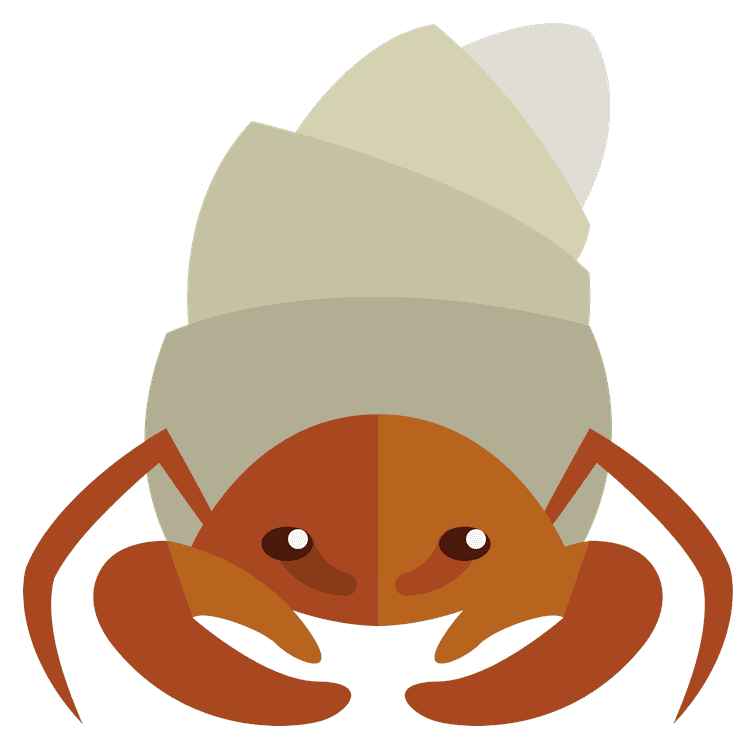 Hermit Crab