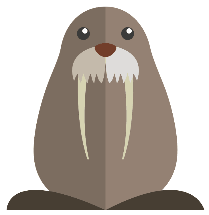 Walrus