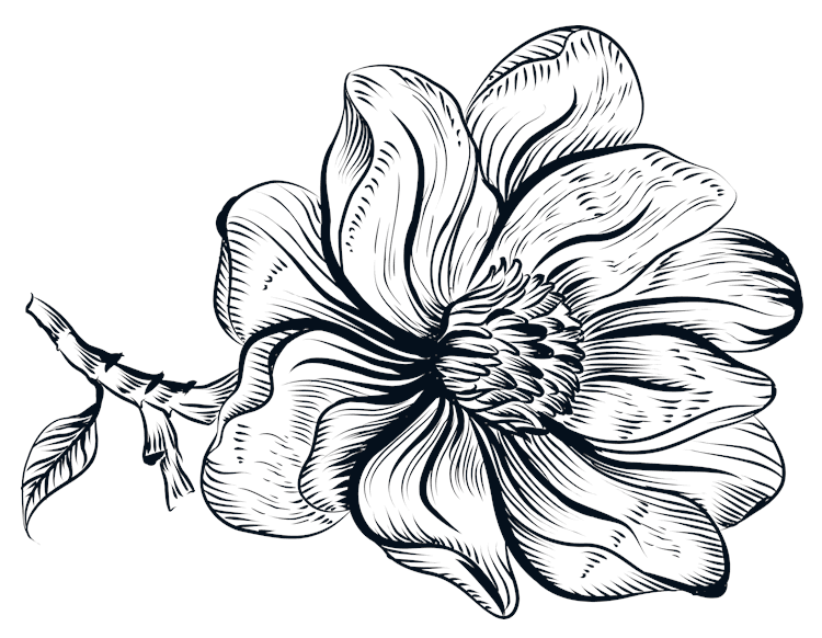 Ink Line Flower and Stem