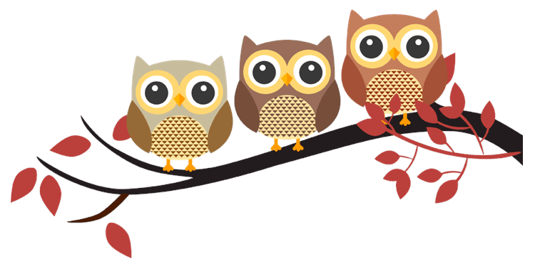 Owl Branch