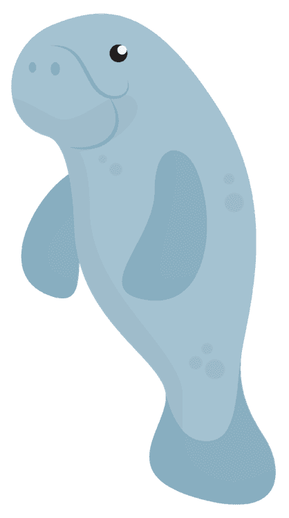 manatee 6