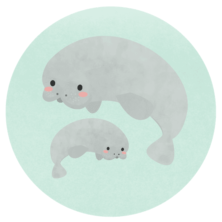 Manatees