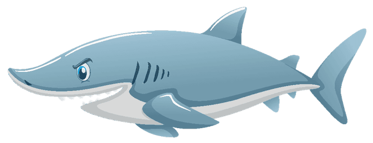 Cartoon Shark