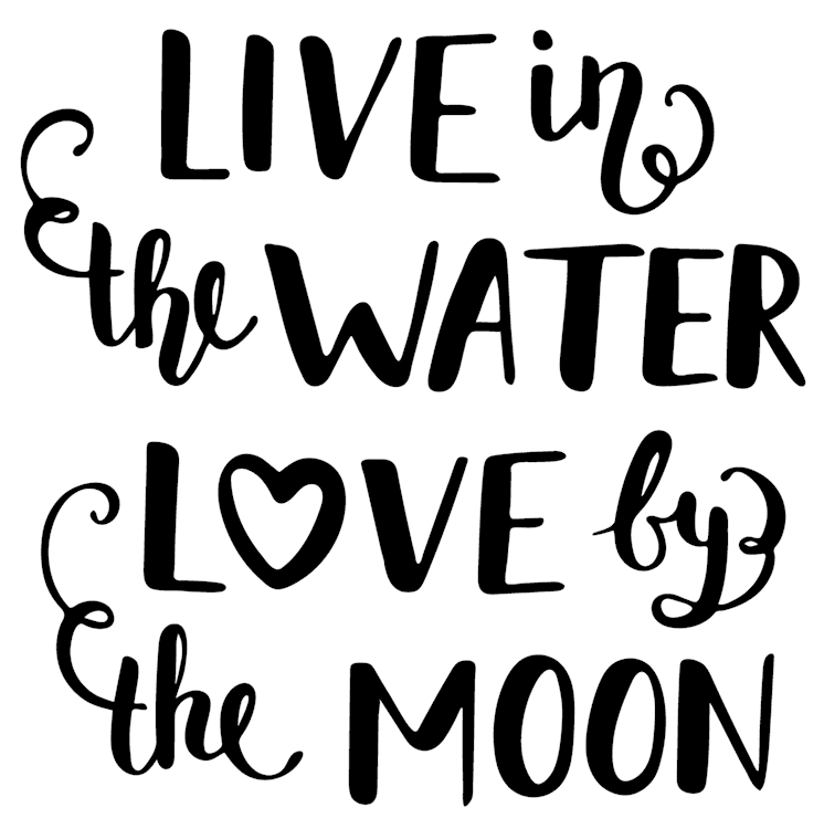 quotes live in the water