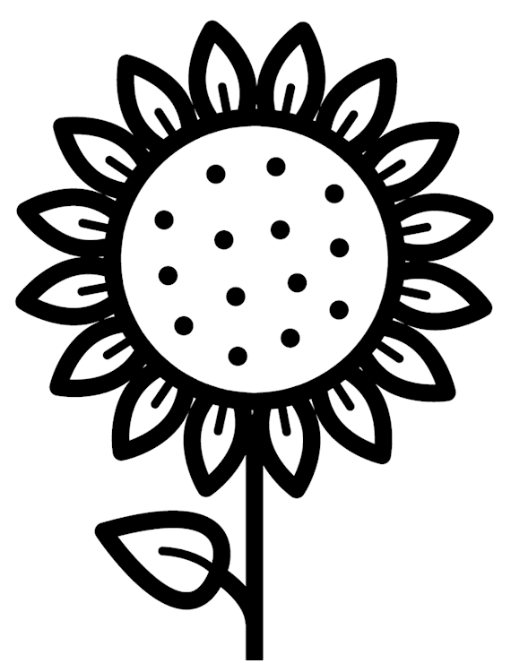Black and White Sunflower