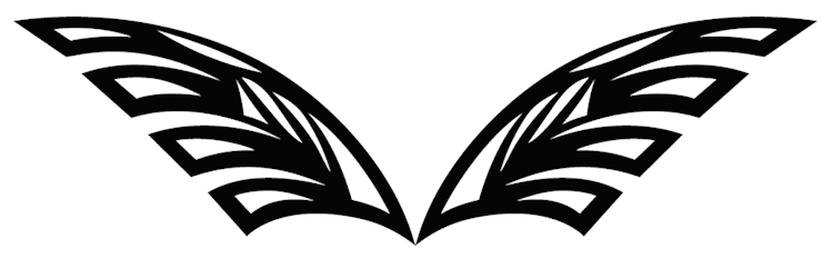 Stylized Angel Wings
