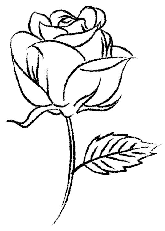 Tall Ink Rose Flower