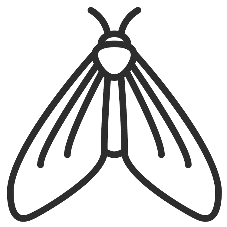 Moth Outline