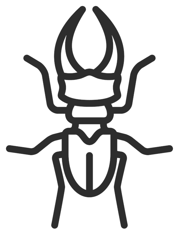 Beetle Outline