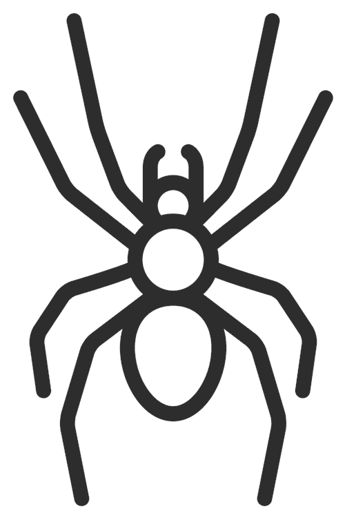 Spider Outline