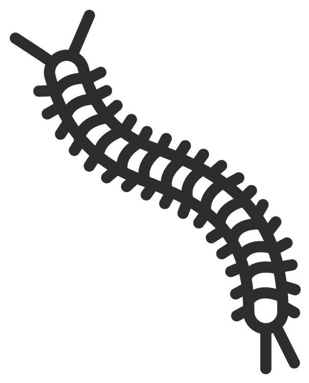 Centipede Outline