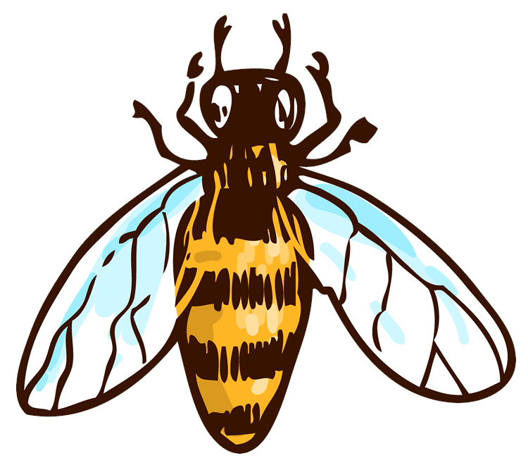 Bee Drawing