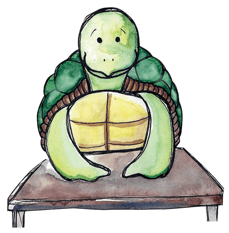 Turtle