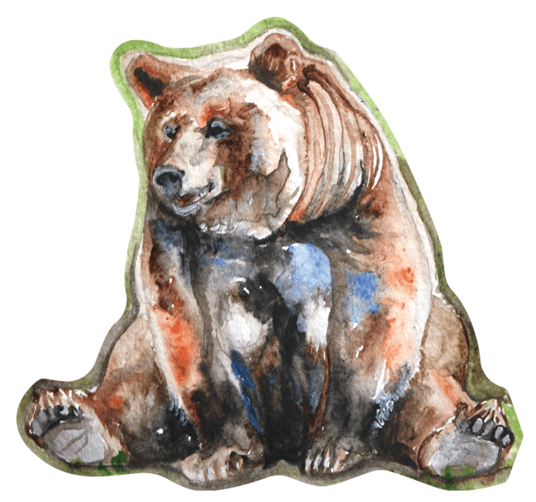 Abigail Springfield Sitting Bear