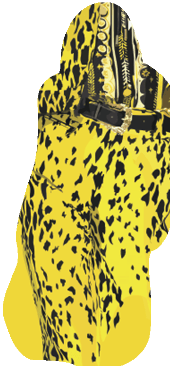 racheljoanis_leopardprint_Artboard 30.png