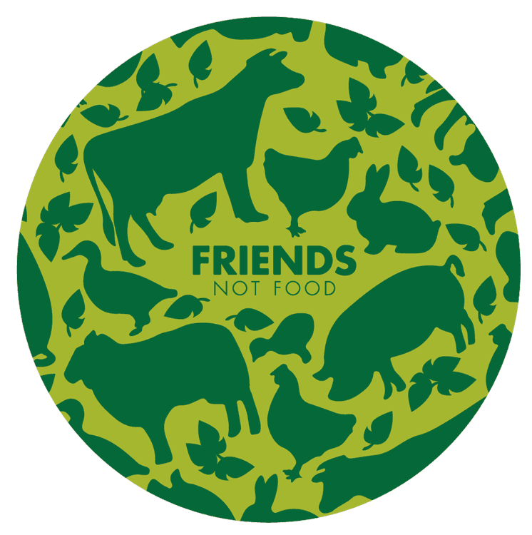 friends not food_Artboard 1.png