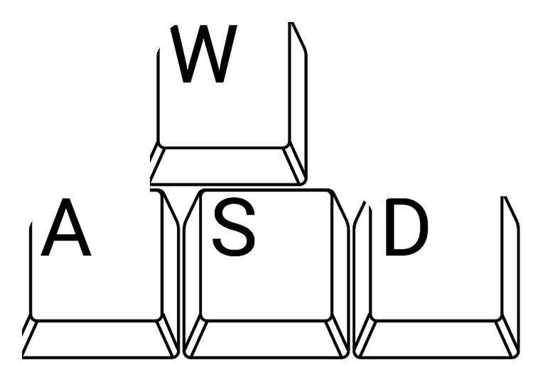 Minecraft Video Game Controls WASD