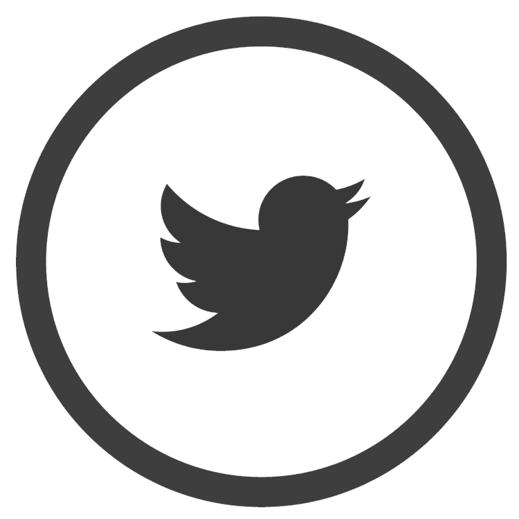 Twitter - Circle Icon