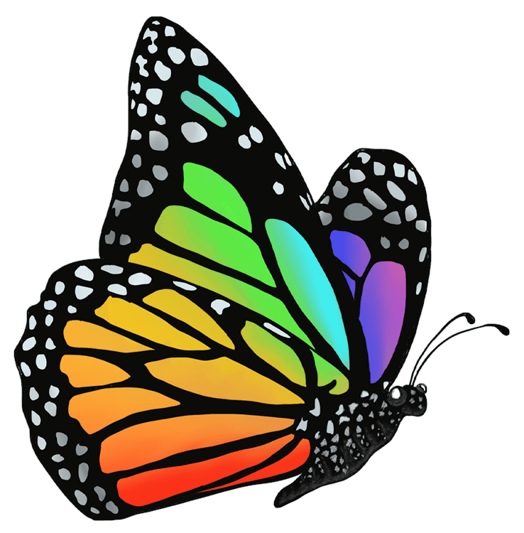 Rainbow Butterfly