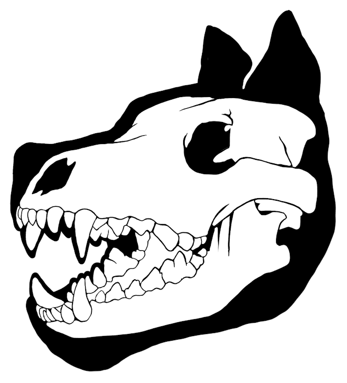 Wolf Skull