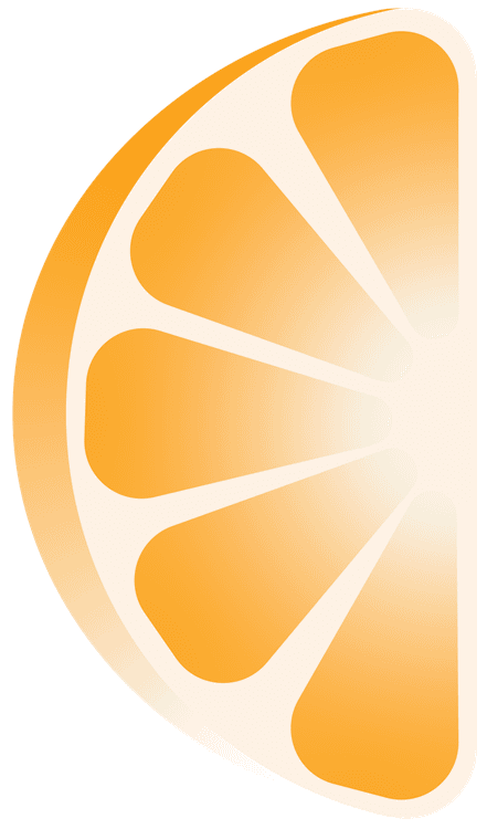 Orange Slice Style 2