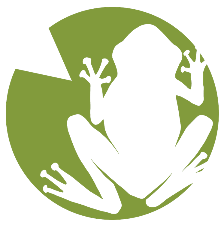 Lilypad Frog SIlhouette