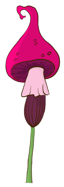 Funky Pink Mushroom